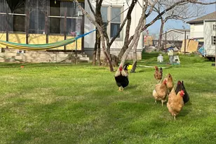 185 N Blushing Dr, Cedar Creek, TX 78612 - Photo 28