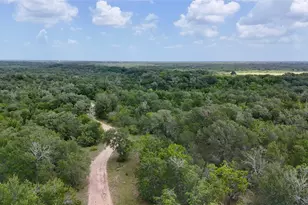 Tbd Cr 420, Waelder, TX 78959 - Photo 1