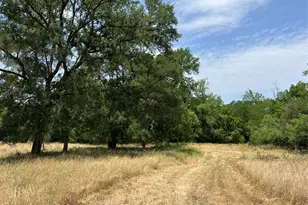 124 Valley Creek Dr, Cedar Creek, TX 78612 - Photo 10