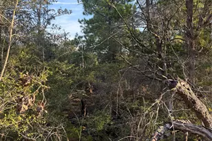 142 Helemano Dr, Bastrop, TX 78602 - Photo 1