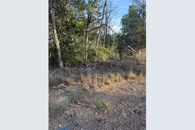 142 Helemano Drive, Bastrop, TX 78602 - Photo 4