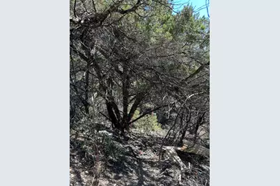 9332 Oxbow Circle, Lago Vista, TX 78645 - Photo 12