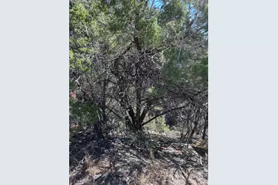 9332 Oxbow Circle, Lago Vista, TX 78645 - Photo 6