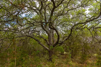 31171 Ranch Road 12, Dripping Springs, TX 78620 - Photo 12