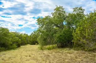 31171 Ranch Rd 12, Dripping Springs, TX 78620 - Photo 1