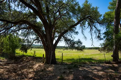 1294 Crabapple Road, Blanco, TX 78606 - Photo 20