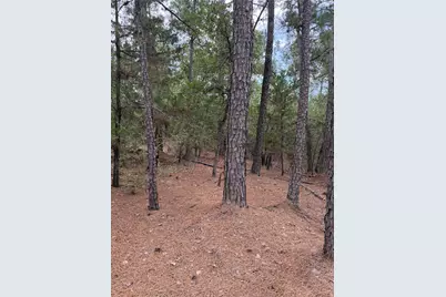 Lots 216 and 217 Hekili Drive, Bastrop, TX 78602 - Photo 14
