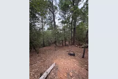 Lots 216 and 217 Hekili Drive, Bastrop, TX 78602 - Photo 6