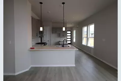 177 Grayson Elm Pass, Dripping Springs, TX 78620 - Photo 4