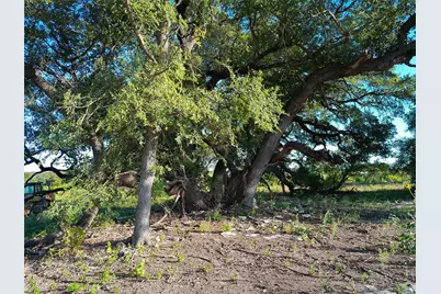 Lot 42 Serenity Drive, Bertram, TX 78605 - Photo 2