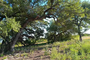 Lot 42 Serenity Dr, Bertram, TX 78605 - Photo 1