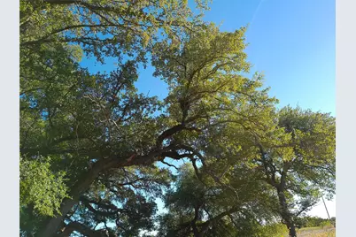 Lot 42 Serenity Drive, Bertram, TX 78605 - Photo 8