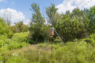 Tbd S Rocky Trail, Lampasas, TX 76550 - Photo 14