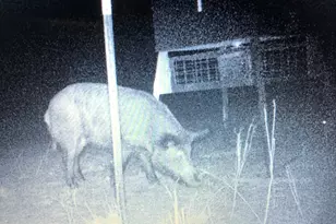 Tbd S Rocky Trail, Lampasas, TX 76550 - Photo 30