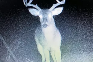 Tbd S Rocky Trail, Lampasas, TX 76550 - Photo 28