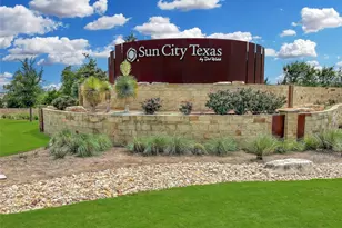 113 Coreopsis Way, Georgetown, TX 78633 - Photo 30