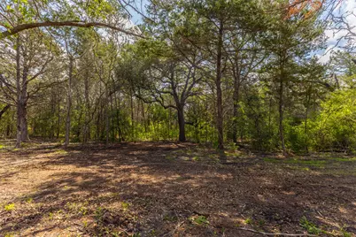 1910 (Tract #1) Baca Loop, Flatonia, TX 78941 - Photo 8