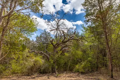 1910 (Tract #1) Baca Loop, Flatonia, TX 78941 - Photo 8