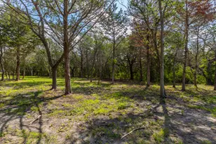 1910 (Tract #1) Baca Loop, Flatonia, TX 78941 - Photo 1