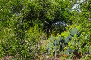 Lot 50 Mountain Laurel Ln, Spicewood, TX 78669 - Photo 10