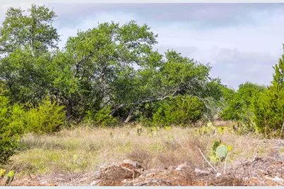 Lot 50 Mountain Laurel Lane, Spicewood, TX 78669 - Photo 8