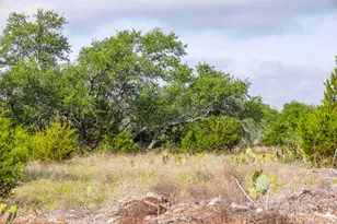 Lot 50 Mountain Laurel Ln, Spicewood, TX 78669 - Photo 8