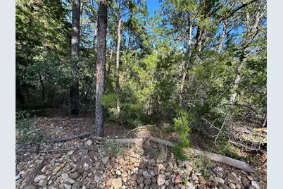 169 Molokini Drive, Bastrop, TX 78602 - Photo 6