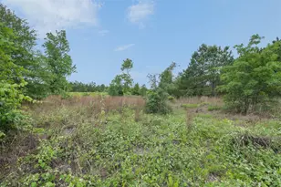 Tbd Lot 20C County Rd, Bastrop, TX 78602 - Photo 1