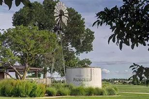 338 Prickly Poppy Loop, Kyle, TX 78640 - Photo 38