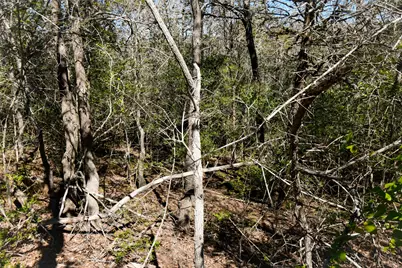 242 Iva Lane, Bastrop, TX 78602 - Photo 4