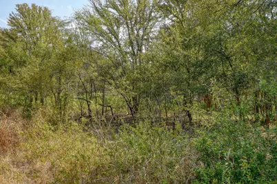 165 Thousand Oaks Drive, Cedar Creek, TX 78612 - Photo 22