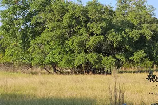 2219 Downing Ln, Leander, TX 78641 - Photo 8