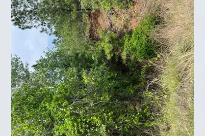 Lot 1671 Tbd Moku Court, Bastrop, TX 78602 - Photo 4
