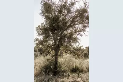 Tbd W Rr 962, Round Mountain, TX 78663 - Photo 12