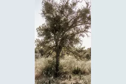 Tbd W Rr 962, Round Mountain, TX 78663 - Photo 12