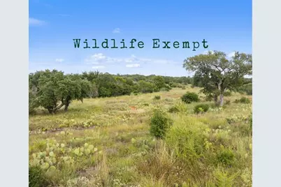 Tbd W Rr 962, Round Mountain, TX 78663 - Photo 1