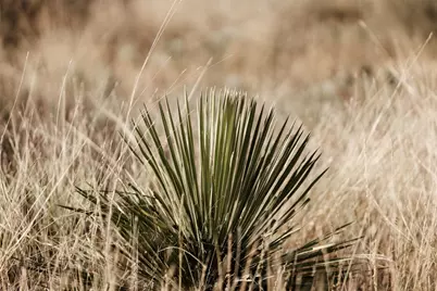 Tbd W Rr 962, Round Mountain, TX 78663 - Photo 10