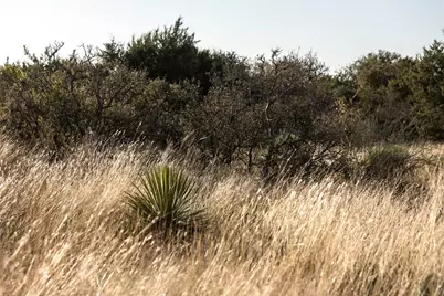 Tbd W Rr 962, Round Mountain, TX 78663 - Photo 4