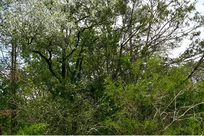 550 N Raymond Road, La Grange, TX 78945 - Photo 8