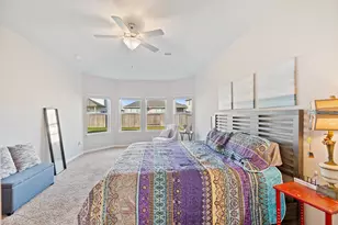 419 Windy Reed Rd, Hutto, TX 78634 - Photo 12