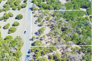 120 Blessing Ranch Rd, Liberty Hill, TX 78642 - Photo 1