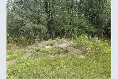 109 Halawa Court, Bastrop, TX 78602 - Photo 4