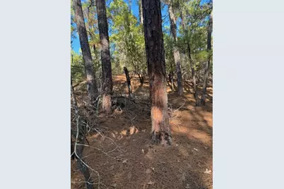 Lot 1395 Kaupa Court, Bastrop, TX 78602 - Photo 2