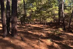 Lot 1395 Kaupa Ct, Bastrop, TX 78602 - Photo 1