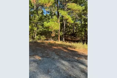 Lot 1395 Kaupa Court, Bastrop, TX 78602 - Photo 6