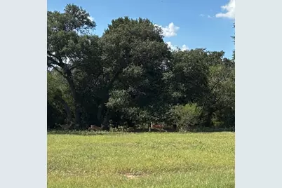 2477 State Highway 159, La Grange, TX 78945 - Photo 10