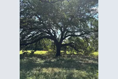 2477 State Highway 159, La Grange, TX 78945 - Photo 1