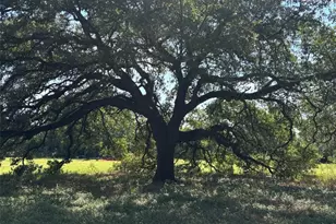 2477 State Hwy 159, La Grange, TX 78945 - Photo 1