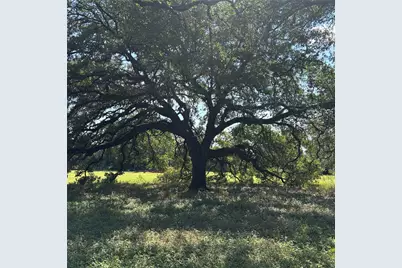 2477 State Highway 159, La Grange, TX 78945 - Photo 2