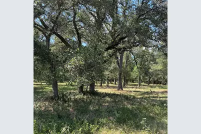 2477 State Highway 159, La Grange, TX 78945 - Photo 6